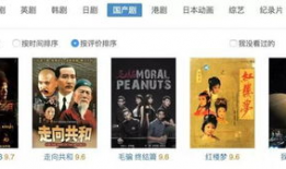 国产精品在在线观看,在线观看，尽享视听盛宴